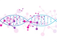 CRISPR Editing in Stem Cells
