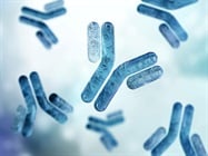 Antibody Validation Strategies