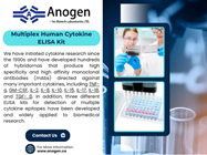 We specialize in cytokine research, offering high-affinity monoclonal antibodies and advanced ELISA kits for biomedical applications