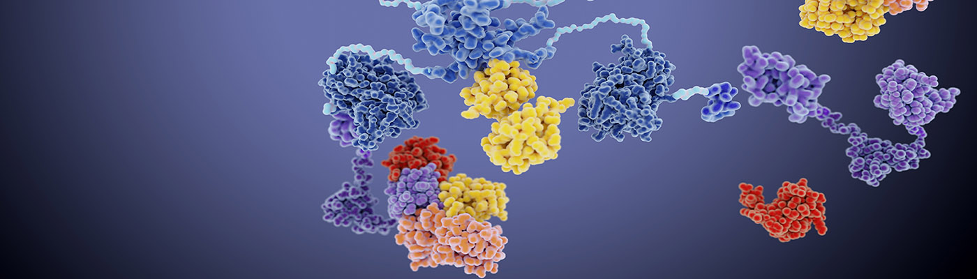 Protein Degradation Methods | Biocompare: The Buyer's Guide for Life ...