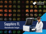 Confidence to Image from In Vitro to In Vivo with Sapphire FL