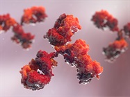 Unlocking the Power of Antibody Drug Conjugates