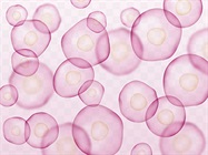 Flow Cytometry and Cell Sorting Comparison