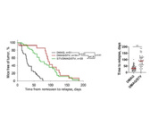 Effective Hsp90 Inhibitor From MedChemExpress