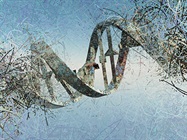 Strategies for Optimizing Nucleic Acid Extractions