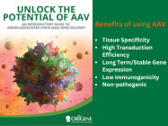 Unlock the Potential of AAV eBook – An Introductory Guide