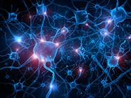 Noteworthy Neuroscience Research Tools Showcased at SfN 2024