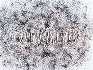 Magnetic Induction Technology Brings Speed and Accuracy to qPCR