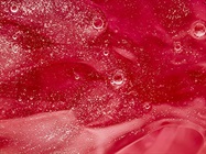 Tailoring Cell Culture Media for Successful Cell Therapy Development