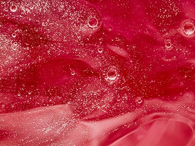 Tailoring Cell Culture Media for Successful Cell Therapy Development