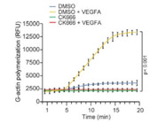 This Selective Potent Arp2/3 Inhibitor From Bio-Techne Works Well