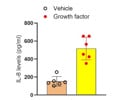 Highly Sensitive and Easy-To-Use Human IL-8 ELISA Kit