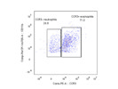 This CCR3 Anti-Mouse Antibody From BioLegend Shows Reliable Staining