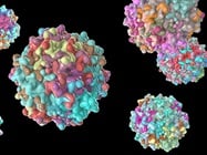 Viral vs. Non-viral Gene Delivery