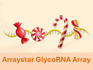 Arraystar GlycoRNA Array to explore new class of glycoRNAs