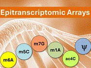 Arraystar Epitranscriptomic Arrays to profile RNA modifications