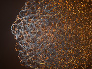 Directly detect DNA and RNA methylation with nanopore sequencing