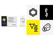 Transfection Reagents and Plasmid DNA