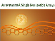 Arraystar m6A Single Nucleotide Arrays