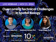 Overcoming Technical Challenges in Spatial Biology