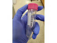 Decent Centrifugal Filter From Millipore Sigma Ideal for Buffer Exchange, Desalting and Protein Concentration