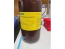 Decent Coomassie Staining Used for Visualizing Protein Quantity on SDS-PAGE Denaturing Protein Gel