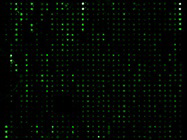 Protein profiling with precision