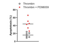 Highly Efficient Kit from Sigma-Aldrich for Detecting Apoptosis in Primary Cells.