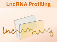 Over 20% OFF LncRNA Profiling!