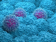 Mass Cytometry for Comprehensive Single-Cell Proteomics