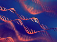 Assay Kits for RNA Methylation