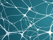 Advanced Imaging in Neuroscience Research