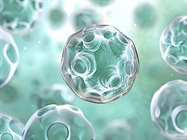 Overcoming Manufacturing Challenges to Unlock Cell Therapy’s Potential