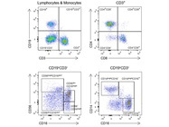 Everything you need for immunophenotyping in one box!