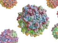 Overcoming Challenges in AAV- and rAAV-based Gene Therapies