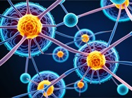 Leveraging ADME Test Systems to De-risk CGT Studies