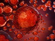 A Guide to Pluripotency Markers