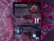 Infographic: AAV Purification: Key Steps and Considerations