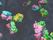 Innovative Antibody Therapeutics: Maximizing Potential Through Partnership