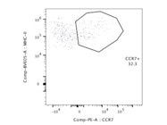 Bright and Specific Flow Cytometry Antibody for the Chemokine Receptor CCR7 on Myeloid Cells.