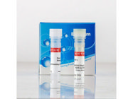 CytoLiner™ Fixed Cell Membrane Stains