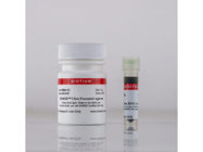 EMBER™ Ultra RNA Gel Kit