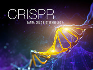 CRISPR Gene Editing Products