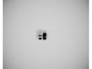 This Antibody From Boster Bio Demonstrates Proficiency in Recognizing and Expressing the Protein Precisely