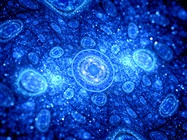 Fluorescence Cell Counting