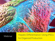 Do you need a robust method of unlimited organoid development?