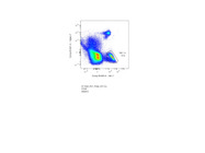 Decent NK1.1 Antibody for Flow Cytometric Detection of NK Cells From Mouse Lung or Lymph Nodes