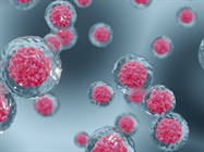 Advances in Pluripotent Stem Cell Expansion