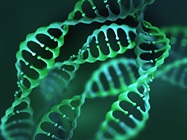 Single-Cell CRISPR Screening