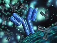 Rapid Thermal Stability Screening of High Concentration Biologic Drugs